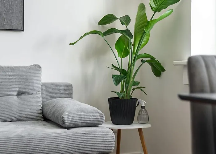 Panorama & Terrace In Center Bratislava