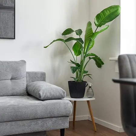 Panorama & Terrace In Center Pozsony